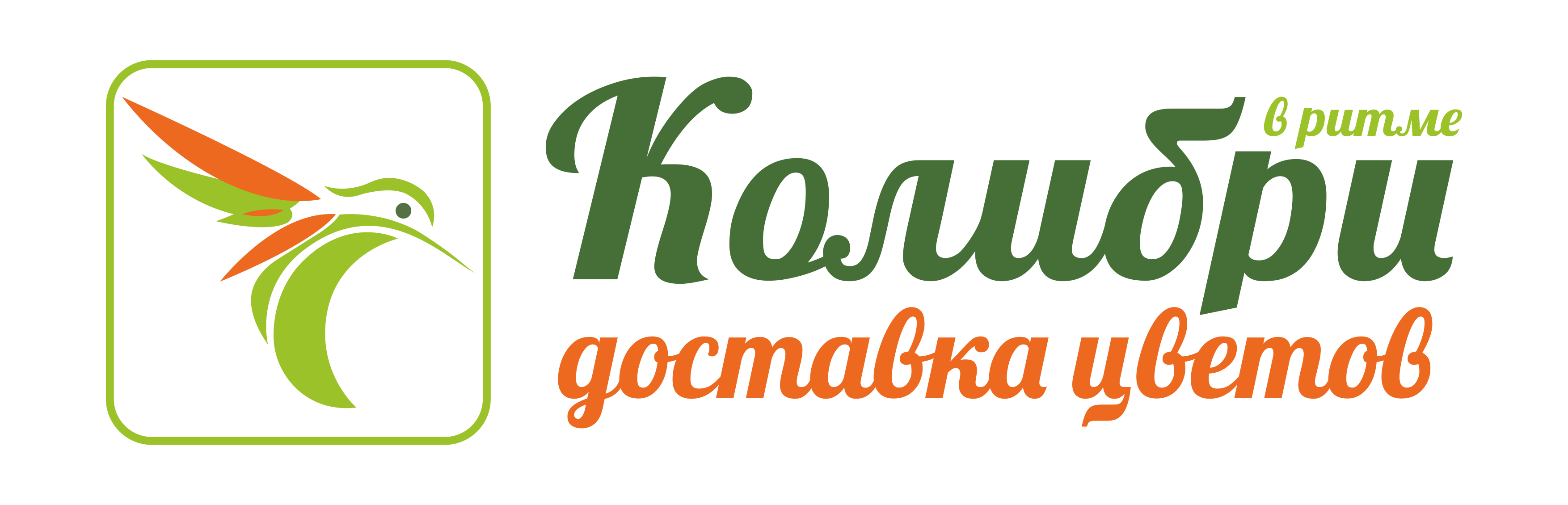 Оплатить колибри. Колибри логотип. Колибри Долгопрудный. Колибри логотип без фона. Оптовый магазин Колибри.